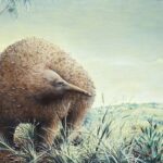 Massive echidna fossil transforms insights into Victoria’s ancient history