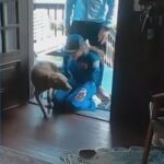 VIDEO: Canine Overjoyed as Astronaut Mother Returns from Lunar Expedition