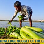 Essential Insights: Understanding CPI and WPI Alongside Inflation Fundamentals for UPSC Aspirants