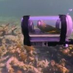 VIDEO: Parrot Takes an Underwater Adventure in Homemade Submarine