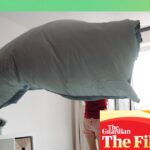 “Unlocking Mattress Hygiene: The Importance of Cleaning Away Sweat, Oils, and Skin Debris”