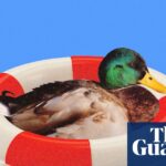 Perpetually in a state of emergency? You may be exaggerating potential threats – discover effective strategies to break the cycle.