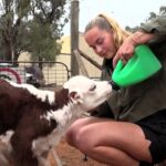 Outback Employment Declines as Rising Fuel Prices Impact Tourism Sector