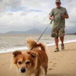 Heavy Rainfall Expected as Ex-Cyclone Maila Triggers Flood Warnings