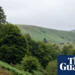 In 1982, my companion and I encountered a large feline on Exmoor | Correspondence