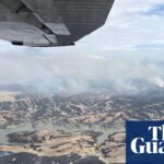 “US Ranchlands Ravaged: Unprecedented Wildfires Leave a Landscape of Charred Trees”