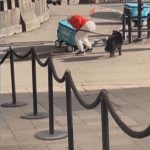 VIDEO: In Finland, compassionate humans lend a hand to struggling delivery robots