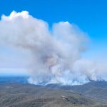 Sydney Shrouded in Smoke as 5,000 Hectares Scorched in Intensive Hazard Reduction Effort