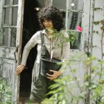 Non-Native Species to Steer Clear Of — Plus, Recommended Alternatives for Your Garden