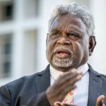 MLA Accuses CLP and Labor of Responsibility Following Tragic Death in Remote Area