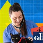 What accounts for the higher costs of veterinary scans compared to those for human patients at private hospitals?