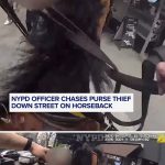 VIDEO: NYPD Officer Pursues Purse Snatcher on Horseback Through City Streets