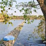 Daily UPSC Essentials Quiz: Explore Environment and Geography MCQs (Week 158) — Assess Your Prelims 2026 Readiness